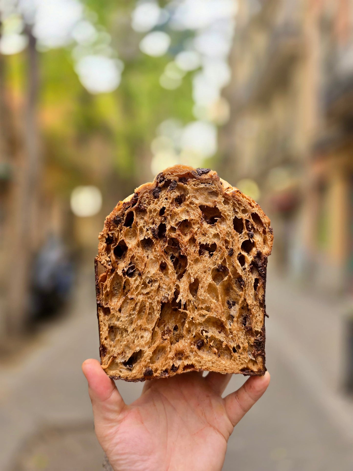 Panettone de xocolata 