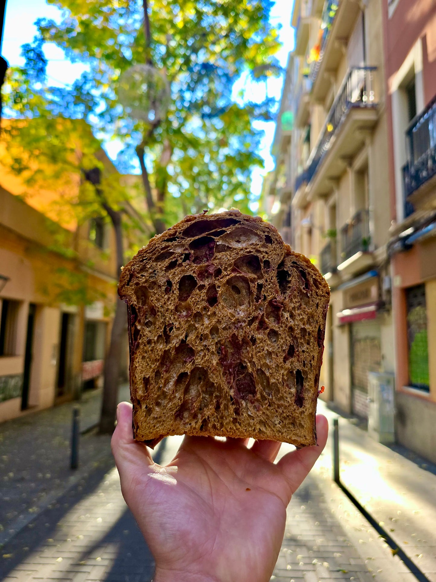 Panettone de cafè i xocolata