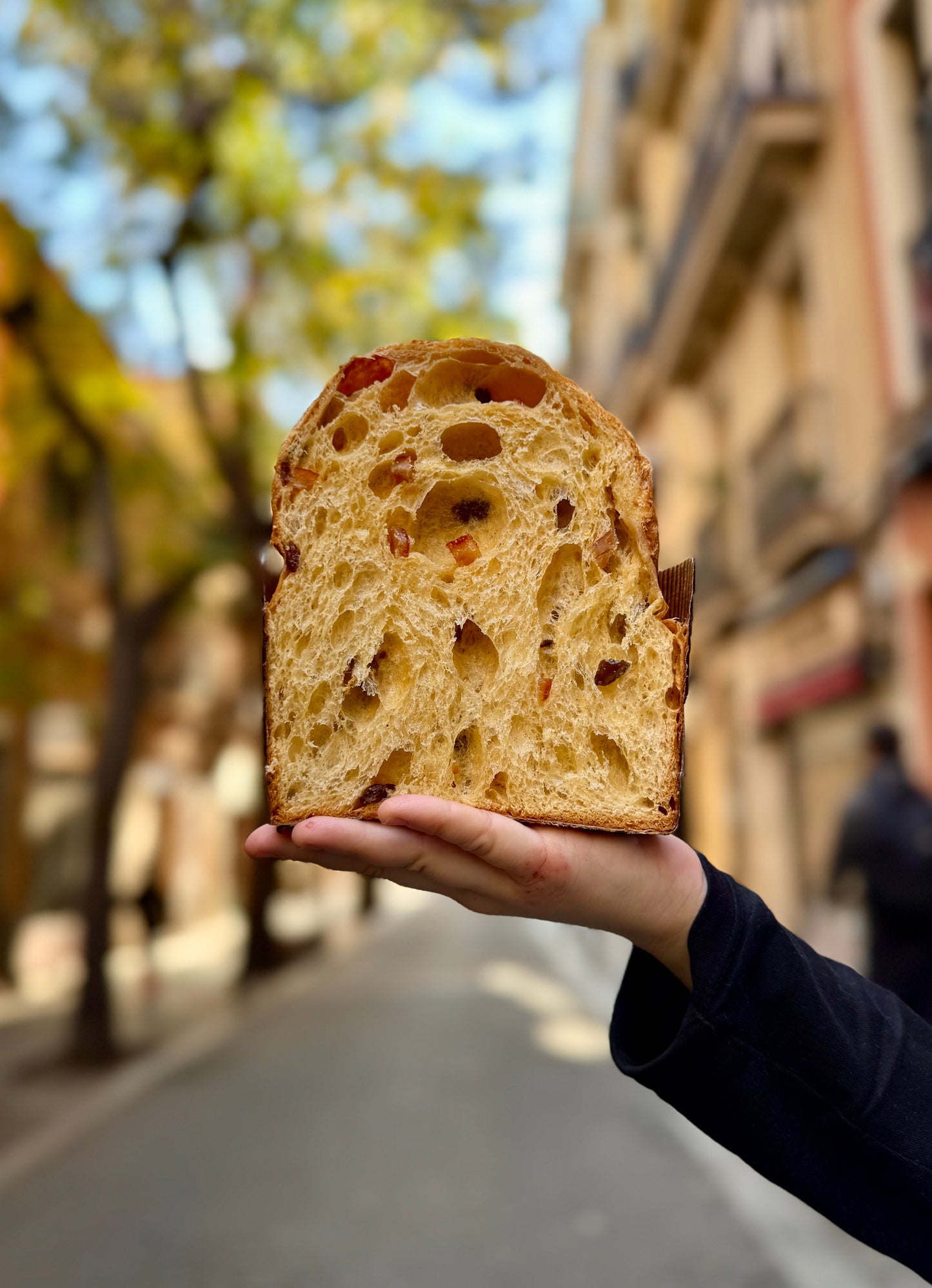 Panettone de fruita