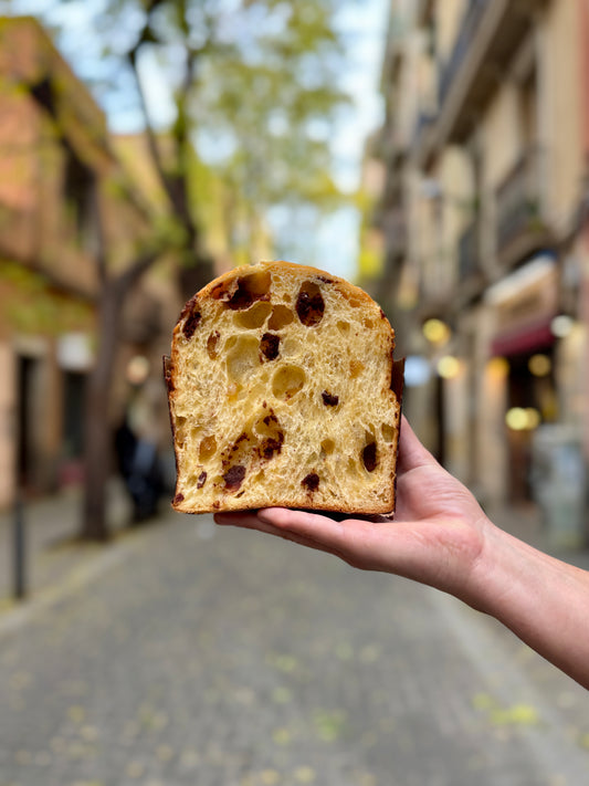 Panettone de yuzu i gianduja